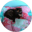 Eli Doyle profile picture